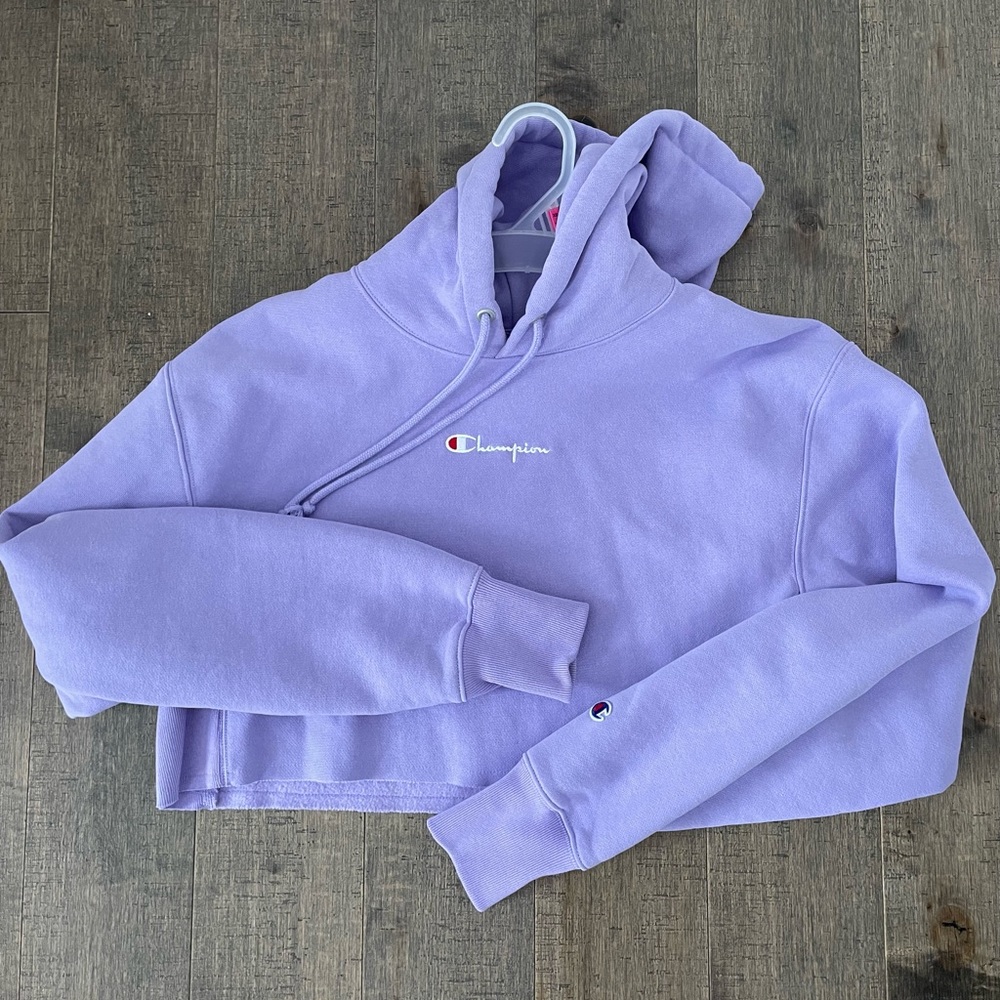 CHAMPION CROPPED HOODIE (UO EXCLUSIVE)